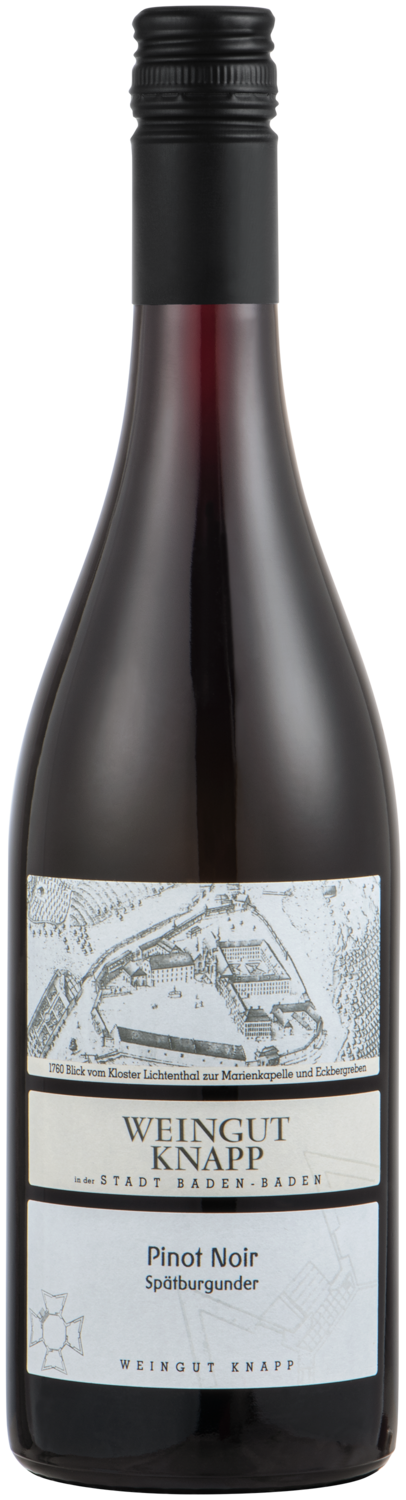 Weingut Knapp – Pinot Noir Spätburgunder Eckberg 2023